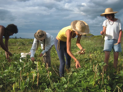 Farm Worker Jobs in the UK for Foreign Workers